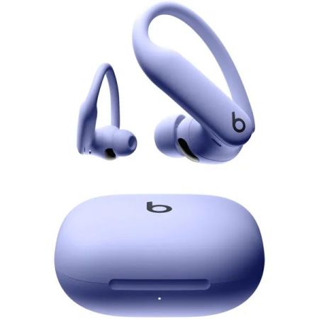 Наушники Powerbeats Pro 2 Purple